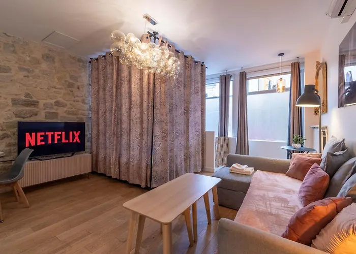 Appartement Spacieux Et Renove